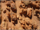 foto Parco nazionale Uluru-Kata, Tjuta